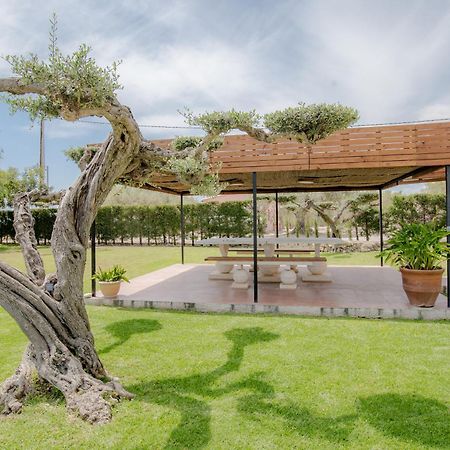 Villa Rural Avril Camarles Dış mekan fotoğraf