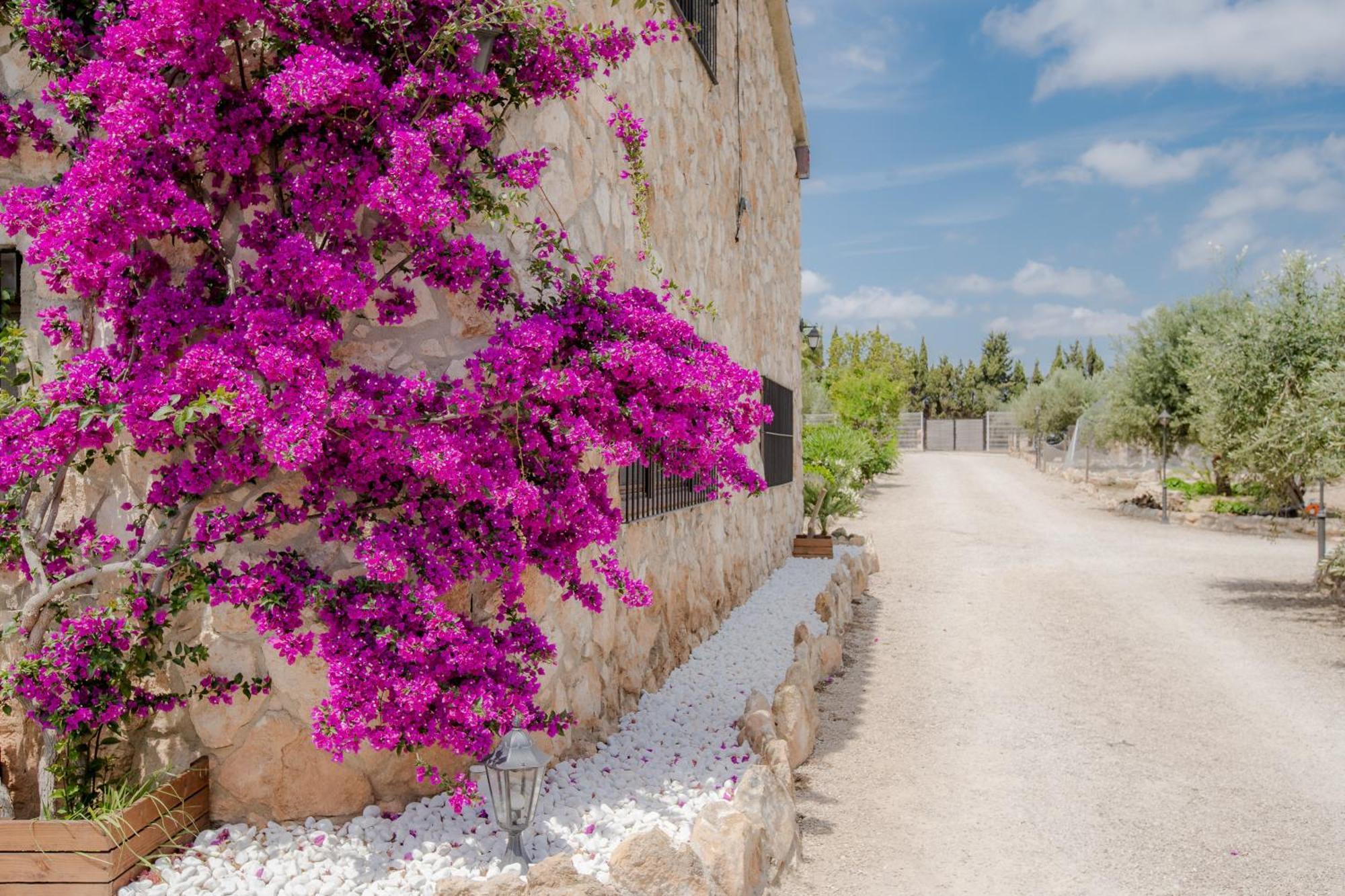 Villa Rural Avril Camarles Dış mekan fotoğraf