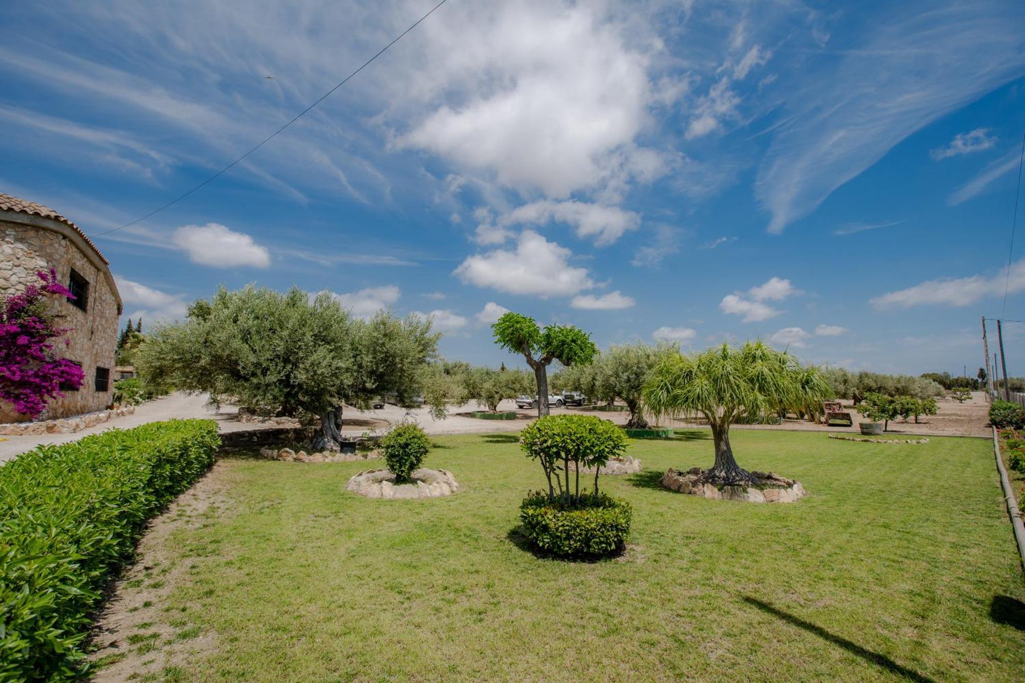Villa Rural Avril Camarles Dış mekan fotoğraf