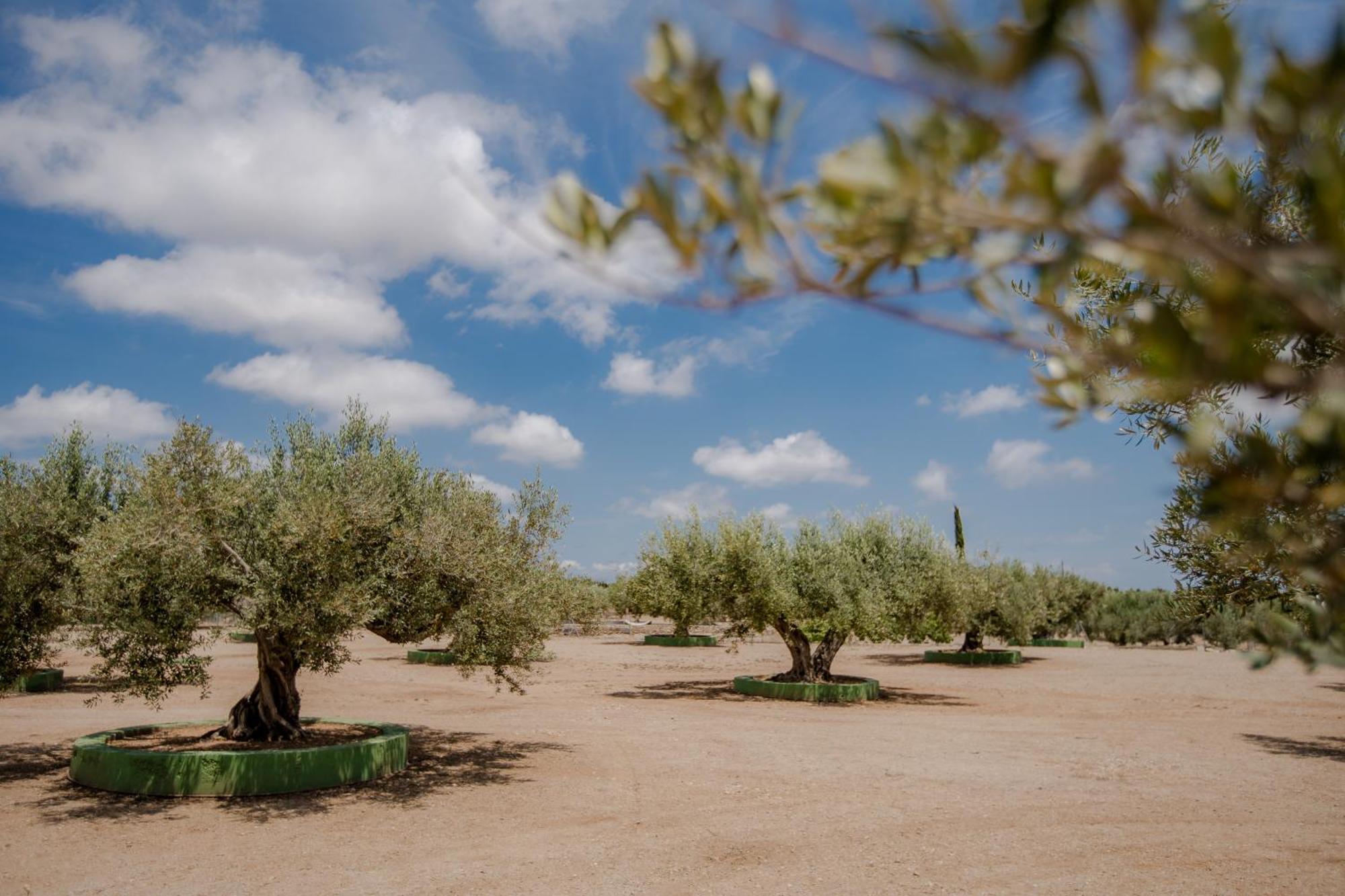 Villa Rural Avril Camarles Dış mekan fotoğraf